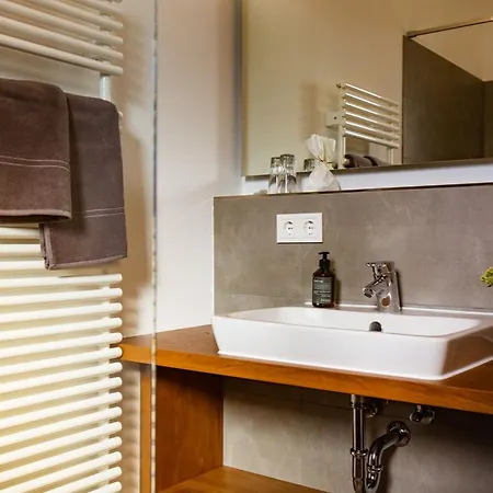 Krone Lautlingen 招待所 3*